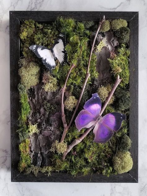 Butterfly Shadow Box, Butterfly Forest, Butterfly Shadow, Nature Magic, Moss Decor, Forest Style, Moss Art, Moss Wall, Wall Garden