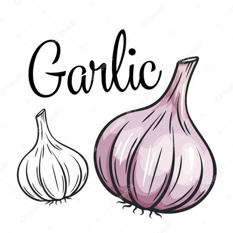 Garlic Drawing, Garlic Farm, Vegetable Drawing, Cityscape Drawing, Vegetable Cartoon, Sketch Icon, Fruits Drawing, Doodle Tattoo, Vector Food