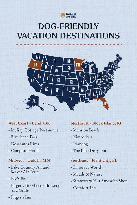 Dog Friendly Vacation Spots, Dog Friendly Travel, Dog Vacation, Dog Bucket List, Cottage Restaurant, Summertime Quotes, Road Trip With Dog, Midwest Vacations, Dog Friendly Vacation