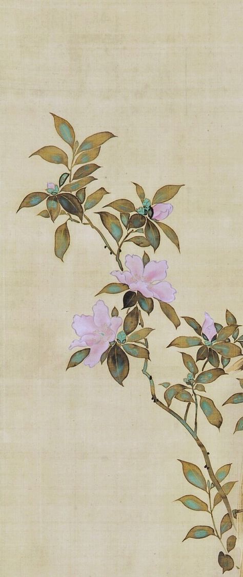 Detail. Pink and white flowers and straw coverings. Japanese Hanging scroll. Sakai Hōitsu 酒井抱一 (1761-1828). Freer Gallery of Art Japanese Botanical Illustration, Japanese Scroll Art, Sakai Hoitsu, Japanese Ornament, Christopher Dresser, Japanese Ink Painting, Asian Flowers, Vietnam Art, Japan Painting