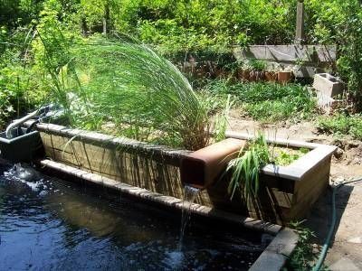 Bog Filters: How to build a Bog Filter: Pondkeeper Blog Pond Filter Diy, Bog Filter, Container Ponds, Start Garden, Bog Gardens, Container Pond, Wildlife Pond, Ponds For Small Gardens, Swimming Ponds