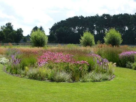 Acreage Landscaping, Prairie Garden, Wild Flower Meadow, Meadow Garden, Chicken Garden, Blossom Garden, Garden Design Layout, Gravel Garden, Bee Garden