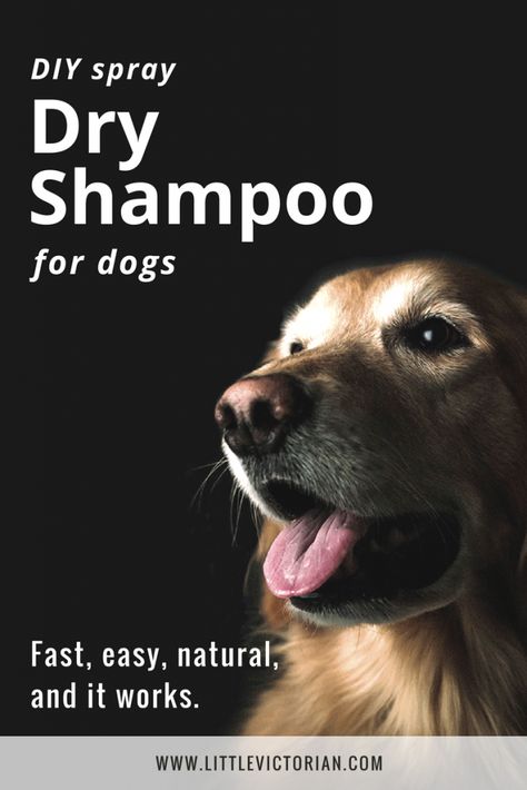 Spray DIY dry shampoo for dogs Dry Shampoo For Dogs, Diy Dog Shampoo, Dogs Barking, Diy Dry Shampoo, Shampoo Recipe, Dog Remedies, Diy Shampoo, Diy Dog Bed, Diy Sprays