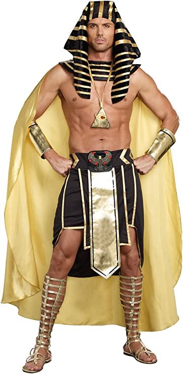 King Tut Costume, King Of Egypt, Pharaoh Costume, King Tut, Egypt, Halloween, Gold