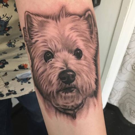 Toby the Westie! #BellwetherTattoo #tattoo #dogportrait #westie #westhighlandterrier #SeattleTattooShop #SeattleTattooArtist  (at Bellwether Tattoo) Westie Tattoos, Westie Tattoo, Pet Portrait Tattoos, Dog Portrait Tattoo, Small Dog Tattoos, West Terrier, Seattle Tattoo, Miss My Dog, Tribute Tattoos