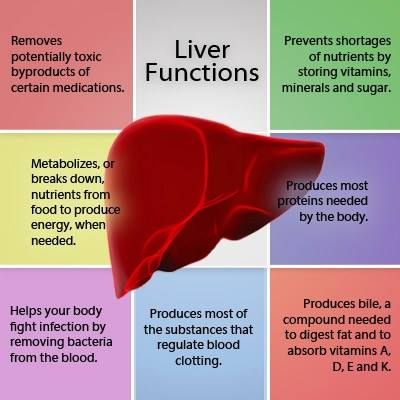 Be kind to your liver, do not give too much work to it. Eat healthy, do not drink too much and reduce chemicals exposure as much as you can.‪#‎detoxification‬ #liver ‪#‎health‬ Struktur Teks, Healthy Detox Cleanse, Detox Your Liver, Medical School Studying, Nursing School Notes, Medical Anatomy, Nursing Tips, Liver Detox, Healthy Liver