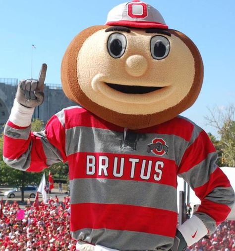 Ohio State Buckeyes mascot, Brutus. Ohio State Mascot, Ohio State Brutus, Ohio State Basketball, Brutus Buckeye, Osu Football, Buckeye Nation, Ohio State Buckeyes Football, Osu Buckeyes, Buckeyes Football