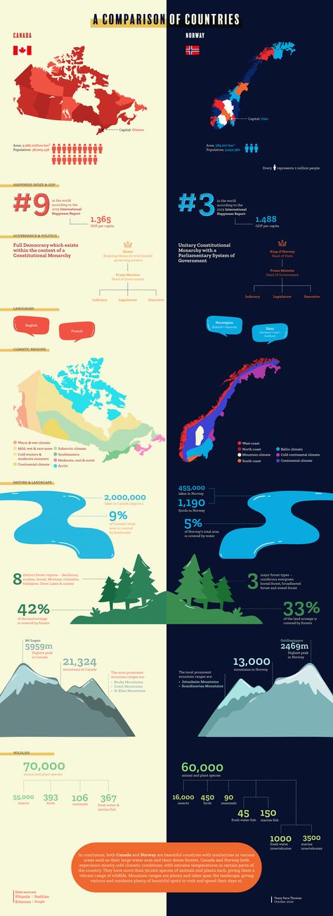 Illustration Infographic, Infographic Illustration, Diy Set, Data Visualization, Infographic Design, Design Inspo, Creative Work, Design Illustration, Adobe Illustrator