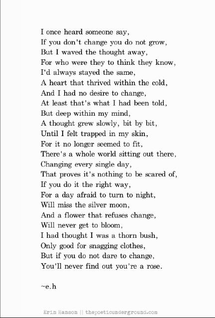 • If you do not dare to change, you'll never find out that you're a rose •  Pinterest: @FallenFangirlx ❤ Erin Hanson Poems, Ernst Hemingway, Eh Poems, Deep Poetry, Erin Hanson, Behind Blue Eyes, Poems Beautiful, Poetry Words, Trendy Quotes