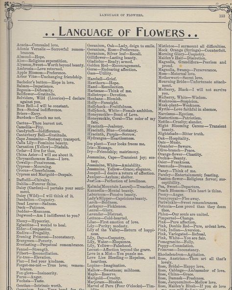 The Language of Flowers [free vintage printables] The Language Of Flowers, Free Vintage Printables, Flower Meanings, Language Of Flowers, Book Writing Tips, Vintage Printables, Types Of Flowers, Book Of Shadows, Writing Inspiration