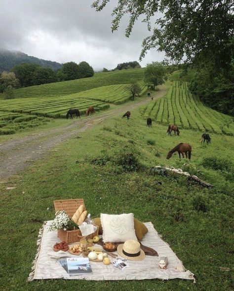 European Countryside, Picnic Inspo, Picnic Inspiration, Picnic Aesthetic, Picnic Date, Perfect Picnic, Song Of Style, Picnic Ideas, Weekend Plans