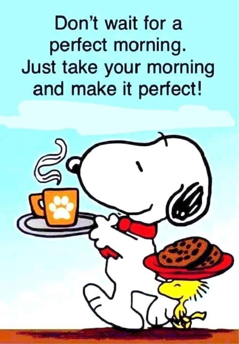 Charlie Brown Quotes, Good Morning Snoopy, Happy Day Quotes, Hug Quotes, Snoopy Funny, Funny Good Morning Quotes, Snoopy Images, Morning Quotes Funny, Happy Good Morning Quotes