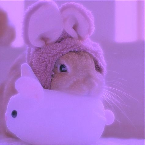 Sparkles Background, Purple Bunny, Cute Bunny Cartoon, Bunny Pictures, Animals Cute, Cute Hamsters, Animal Photos