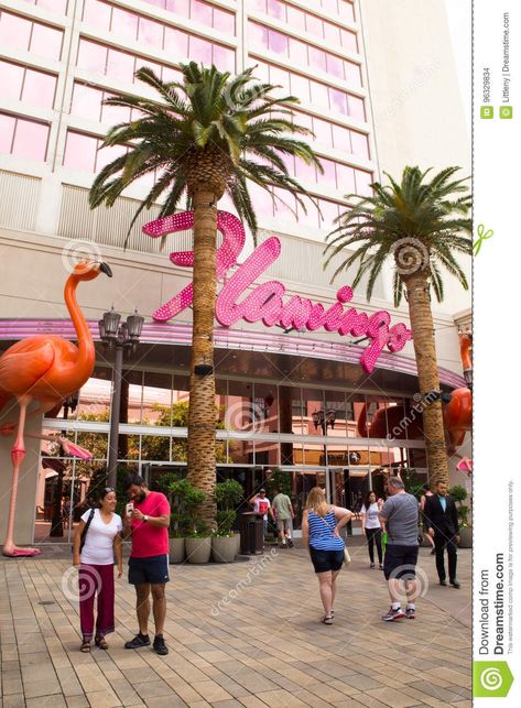 FLAMINGO HOTEL - LAS VEGAS 🌴🌴🌴🌴🌴 Flamingo Hotel Las Vegas, Las Vegas Theme, Vegas 2023, Flamingo Las Vegas, Flamingo Hotel, Las Vegas Hotel, Las Vegas Party, Vegas Theme, Vegas Party