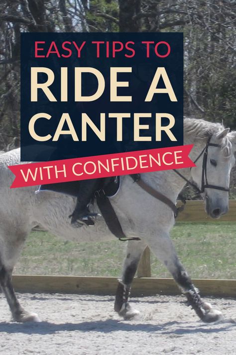 tips for learning to ride a cantering horse, and the trot to canter transition, with confidence Cantering Horse Tips, How To Canter Horse, How To Sit The Canter Horse, Horse Riding Tips Western, Horse Tips And Tricks, Horse Riding Tips English, Cantering Horse, Horse Cantering, How To Ride A Horse