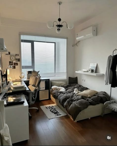 Single Bedroom Idea, Cozy Room Modern, Simple Bedroom Ideas For Small Rooms Minimalist, Room Ideas For Men Bedroom Modern, Aesthetic Room Setup, Blue Minimalist Room, Acubi Bedroom Ideas, Clean Boy Room Aesthetic, Aesthetic Bedroom Layout