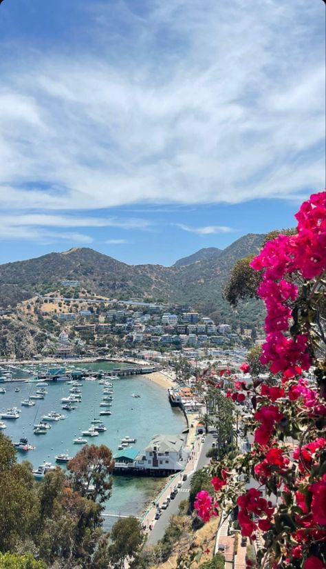 Catalina California, West Coast Travel, Santa Catalina Island, Good Day Sunshine, Travel Inspiration Destinations, Catalina Island, Island Getaway, California Travel, Travel Inspo