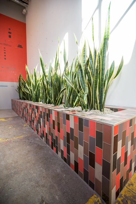 these colors Tiled Planter Outdoor, Tiled Planter, Landscape Design Patio, Tile Planter, Tile Garden, Heath Tile, Planters Indoor, Mission District, Heath Ceramics