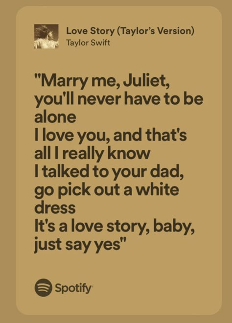 Marry Me Juliet Song, Taylor Swift Romeo And Juliet, Romeo And Juliet Song, Marry Me Juliet, Singer Dr, Taylor Swift Fearless, Cool Electric Guitars, Feel Good Quotes, Taylor Swift Lyrics