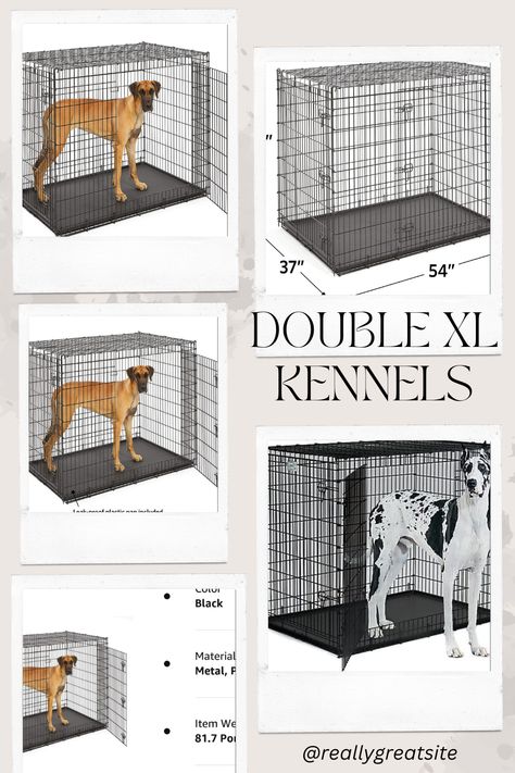 Multiple doors fits dogs 100+ LBs & more Great Dane Kennel, Great Dane Crate, Bernard Black, Great Dane Mastiff, Dogs Breeds, St Bernard, Large Dog Breeds, Double Door, Dog Houses