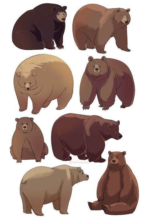 Bear Character, Bear Drawing, Bear Illustration, Bear Pictures, Bear Art, Drawing Reference Poses, Art Block, Animal Illustration, Spirit Animal