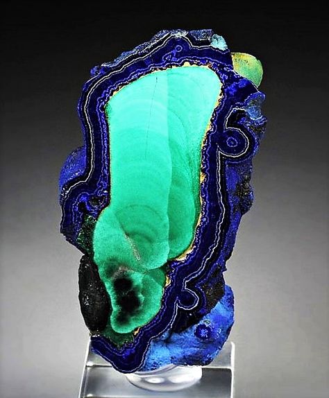 Agate Rocks, Minerals Crystals Rocks, Gemstone Art, Pretty Rocks, Azurite Malachite, Mineral Stone, Minerals And Gemstones, Rocks And Gems, Blue Gems