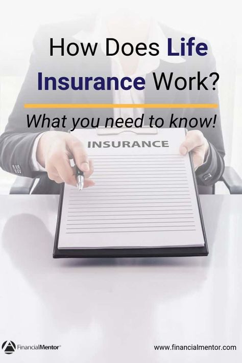 How Life Insurance Works: Your Guide To Understanding Life Insurance Quotes Questions, Life Insurance Marketing Ideas, Life Insurance Marketing, Life Insurance Facts, Life Insurance Agent, Workers Compensation Insurance, Health Insurance Humor, Insurance Sales, Whole Life Insurance