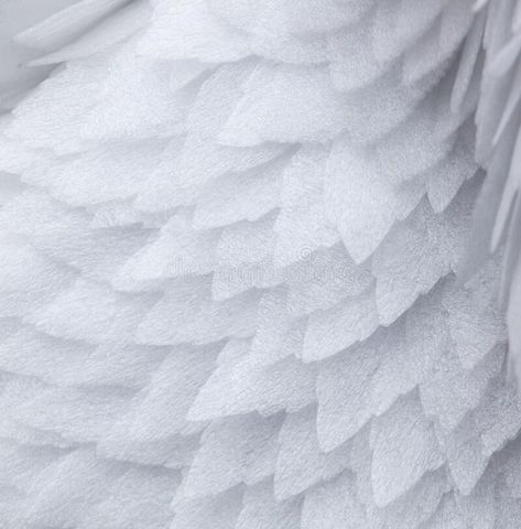 Artificial white feathers on the wing as background. Texture. stock photos Feather Wings, The Wing, White Feathers, Vector Cartoon, Background Texture, Textured Background, Feathers, Stock Images, Stock Photos