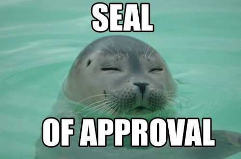 Seal of approval Seal Memes Hilarious, Seal Meme, Animals Memes, Visual Puns, Cute Seals, Seal Of Approval, Animal Puns, Reaction Images, Sticker Ideas