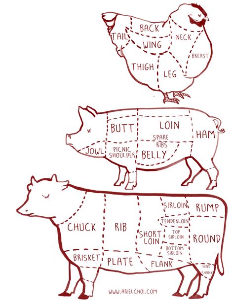 cow, pig, chicken butcher diagram chart illustration |illustration by Ariel choi Meat Cuts Chart, Beef Cuts Chart, Butcher Diagram, Cow Pig Chicken, Butcher's Cut, Meat Shop, Diagram Chart, Cattle Farming, Food Info