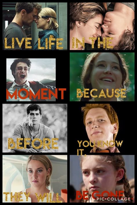 Divergent (Four&Tris), TFIOS (Hazel&Augustus), Harry Potter (Harry Potter), The Hunger Games (Katniss Everdeen), The Maze Runner (Thomas), Harry Potter (Fred Weasley), Divergent (Tris), The Hunger Games (Primrose Everdeen) Four Divergent Pictures, Hazel And Augustus, Divergent Tris, Divergent Four, Primrose Everdeen, Hunger Games Katniss, Divergent Hunger Games, Fandom Quotes, Maze Runner Thomas