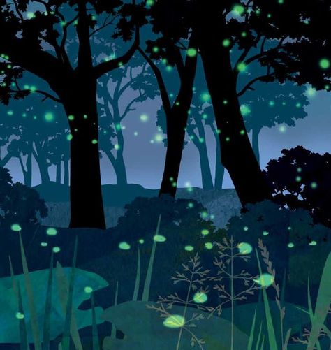 Fireflies (or lightning bugs) are some of the world's most fascinating--and illuminating!--insects. And one many children can find right in their backyards! With a simple story, perfect for read-alouds, and colorful illustrations, this scientific look at a firefly's life-cycle will captivate little entomologists. Informative sidebars are included that let children learn even more about these amazing insects. #kidlit #picturebook #fireflies #nature #STEM #summer Lightning Bugs, Circus Characters, Cute Cartoon Images, Simple Stories, Backyards, Editorial Illustration, Life Cycles, Read Aloud, Firefly