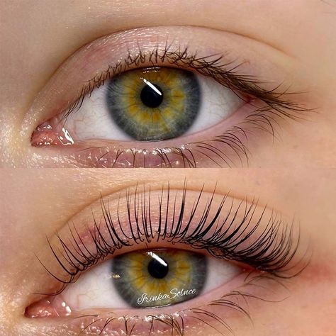 #Eye_Lash_Lift #Types_Of_Eyelash_Extensions #Eyelashes_And_Eyebrows #Lash_Lifts Eye Lash Lift, Types Of Eyelash Extensions, Lash Lifts, Lashes Extensions, Natural Eyelash Extensions, Pretty Aesthetic, Eyelash Lift, Natural Eyelashes, Aesthetic Cute