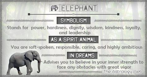 What do elephants symbolize, as a spirit animal (totem animal), white elephant meaning, significance of dreams about elephants Meaning Of Elephant Tattoo, What Do Elephants Symbolize, Elephant Totem, Elephant Symbolism, Elephant Spirit Animal, Elephant Meaning, Elephant Quotes, Elephant Tattoo Meaning, Spirit Animal Meaning