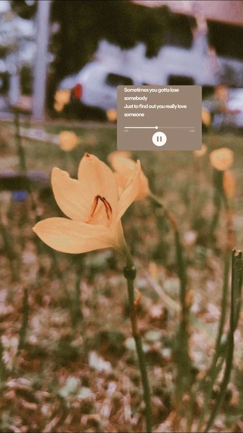 Flowers Instagram Story Music, Aesthetic Pic For Instagram Story, Nature Story Instagram Music, Ig Asthetics Story, Nature Story Instagram, Spotify Aesthetic Story, Spotify Asthetic, Nature Instagram Story, Flower Instagram Story