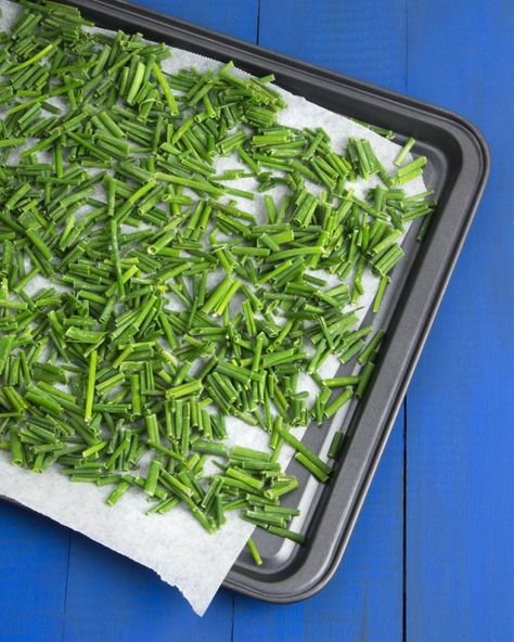 How to Freeze Fresh Chives (and how to use them) @OmNomAlly | It's incredibly easy to freeze fresh chives, so you can preserve the harvest whenever you have a glut of this flavourful herb. Preserve Fresh Herbs, Drying Fresh Herbs, Freezing Vegetables, Freezing Herbs, Preserving Herbs, Frozen Veggies, Garden Recipes, Fresh Chives, Frozen Vegetables