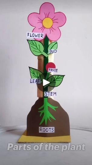 Plant Parts Activities, Parts Of Plants Activities For Kids, Parts Of Plants Activities, Parts Of A Plant Craft, Part Of Plants Activities, Kindergarten Parts Of A Plant, Parts Of A Plant Activity, Life Cycle Of A Flowering Plant, Plant Activities