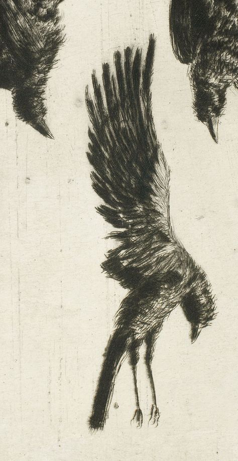 Printable Art | Easily download and display this spooky vintage painting of falling ravens.  At Saturday Paper, we believe that beautiful, vintage artwork shouldn't be difficult to find or wildly expensive. The right piece of art can add warmth and story to any space--whether it's a modern industrial loft or a bohemian beach bungalow. We aim to curate a collection of vintage art digital downloads and prints from which you can find just the right piece for your home. Our pieces are accessible, ea Crow Illustration Vintage, Gothic Art Painting Easy, Vintage Artwork Aesthetic, Vintage Gothic Aesthetic, Urdu Art, Birds Black And White, Modern Industrial Loft, Spooky Wall Art, Spooky Vintage