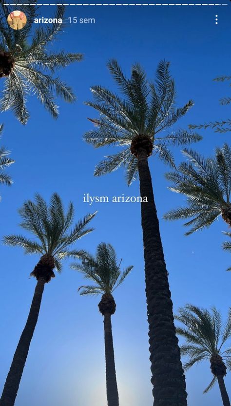 Arizona life blue sky palm trees summer warm weather inspo aesthetic moodboard lifestyle hipergamy luxury Aesthetic Arizona, Arizona Aesthetic, Living In Arizona, Tempe Arizona, Dream School, Aesthetic Moodboard, Arizona Travel, Arizona State University, University Of Arizona