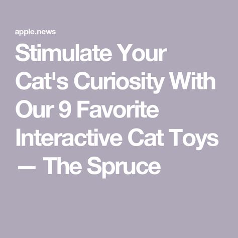 Stimulate Your Cat's Curiosity With Our 9 Favorite Interactive Cat Toys — The Spruce The Spruce, Care Less, Interactive Cat Toys, Get Even, Go Crazy, Interactive Toys, Cat Care, Cat Toy, Cat Toys