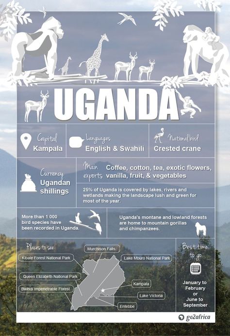 Africa Infographic, Uganda Africa, Country Information, Uganda Travel, Chobe National Park, Gorilla Trekking, Travel Infographic, African Travel, Missions Trip