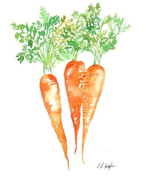 Watercolor Vegetables, Food Watercolor, Vegetable Painting, Bunny Room, Orange Painting, Watercolor Food, Watercolor Fruit, Original Watercolor Art, Watercolor Projects