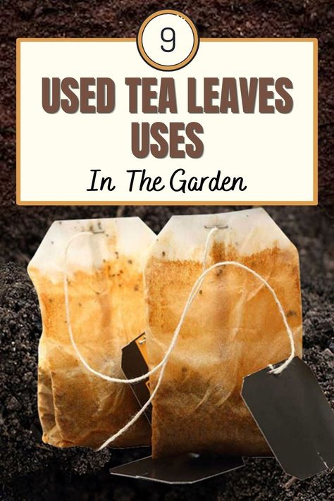 So, after enjoying a morning or afternoon cup of tea, most of you probably toss the wet, soggy bag of steeped tea leaves in the garbage. Well, as it turns out, there’s actually another great use for them that can also help your garden – bury them! Uses For Used Tea Bags, Tea Bags For Plants, Tea Fertilizer, Leaf Compost, Diy Fertilizer, Composting 101, Used Tea Bags, Garden Remedies, Plant Benefits