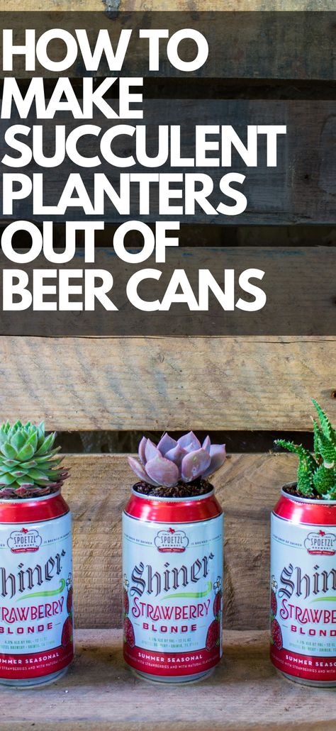 How to Make Succulent Planters out of Beer Cans Beer Can Succulent Planter, Beer Can Flower Vase, Beer Can Crafts Diy, Apartment Patio Garden, Creativity Boosters, Beer Can Art, Cactus Centerpiece, Apartment Patio Gardens, Diy Salad