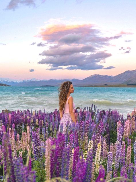 Thursd. - 🌼 Lupin flowers bloom at Lake Tekapo! Natural... Lupine Flowers, Pic Inspiration, Flowers Bloom, Aesthetic Pics, Travel Photo, In Full Bloom, Travel Lifestyle, Travel Bucket List, Photoshoot Ideas