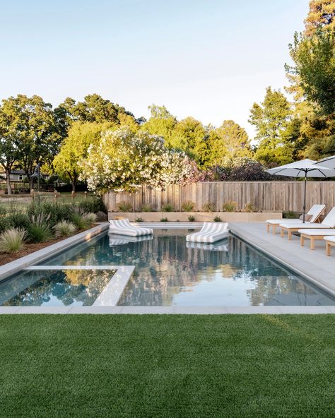 Salceda Backyard California Bay Area, Rectangle Pool, Dream Backyard Pool, Pool House Designs, Outdoor Pool Area, Modern Backyard Landscaping, Rectangular Pool, Backyard Pool Landscaping, Modern Pools