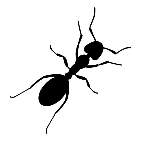 Tattoos Medium, Tattoos Large, Ink Poisoning, Ant Tattoo, Ant Art, Black Ants, Skeleton Drawings, Outline Images, Temp Tattoo