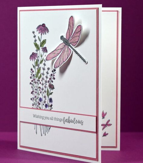 Dragon Fly Cards, Dainty Delight, Dragonfly Cards, Dragonfly Garden, Flowers Cards, Everyday Cards, Dainty Flowers, Dragon Flies, Dragonfly Dreams