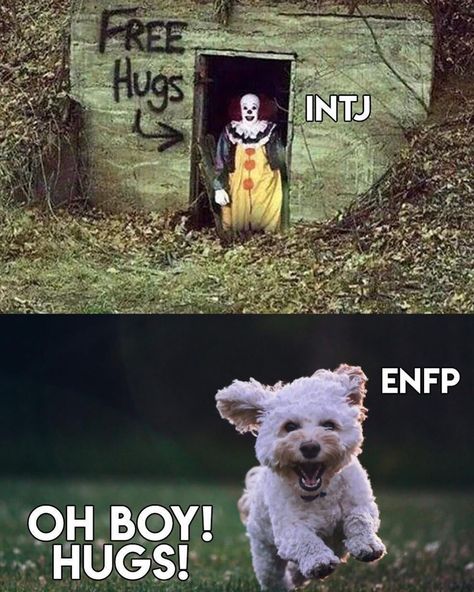 Enfp Istj, Enfp Intj, Personalidad Enfp, Intj Enfp, Enfp Relationships, Creepy People, Mbti Test, Intj T, Enfp Personality