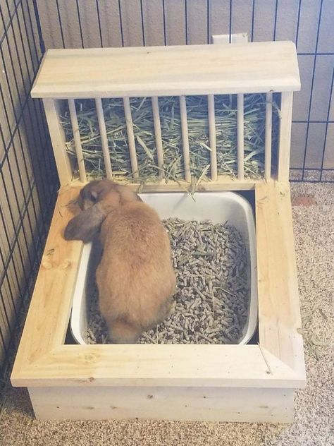 Bunny Cage Ideas, Diy Hay Feeder, Rabbit Shed, Rabbit Enclosure, Bunny Diy, Bunny Cage, Pet Rabbit Care, Bunny Hutch, Bunny Room